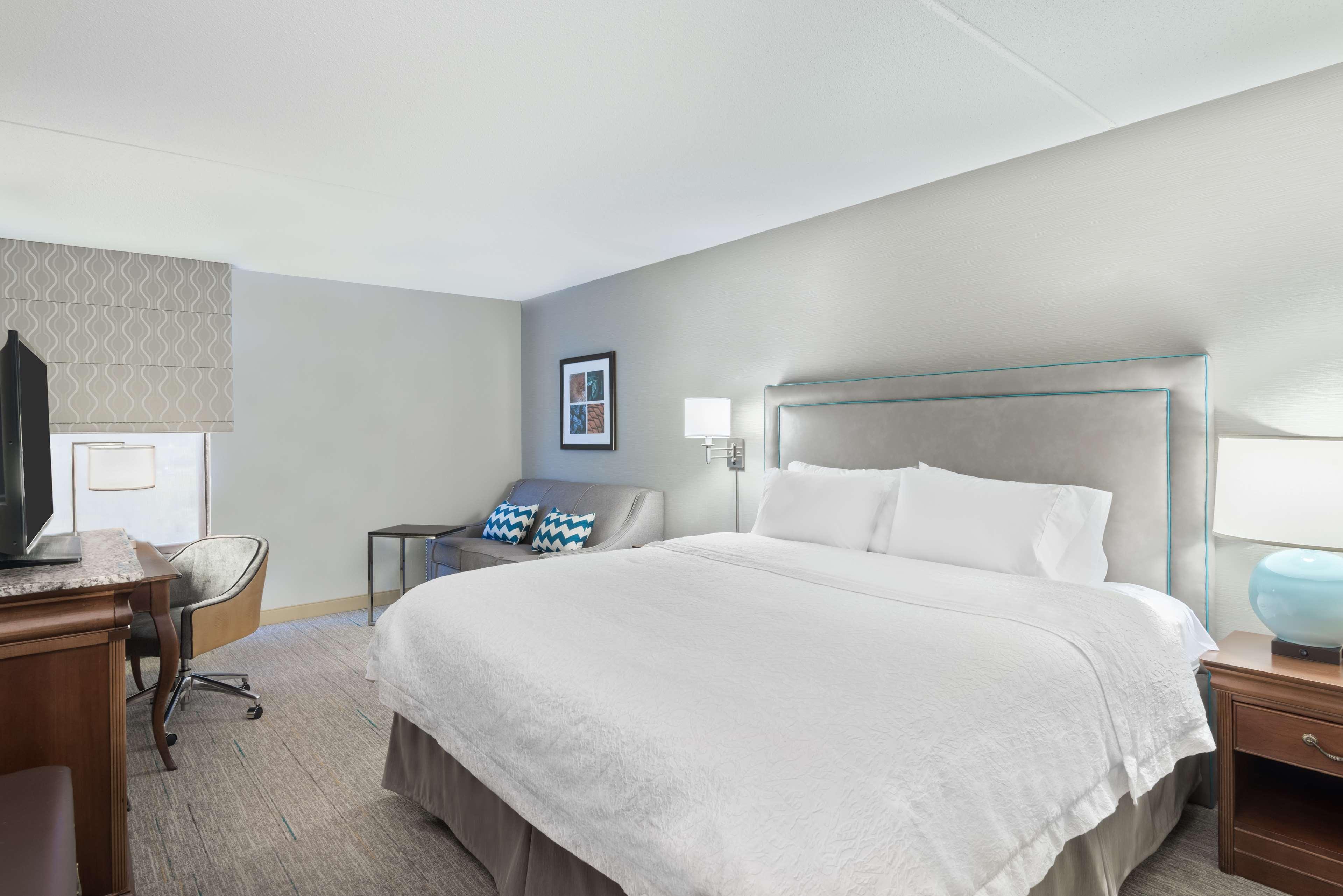 Studio, King Bed