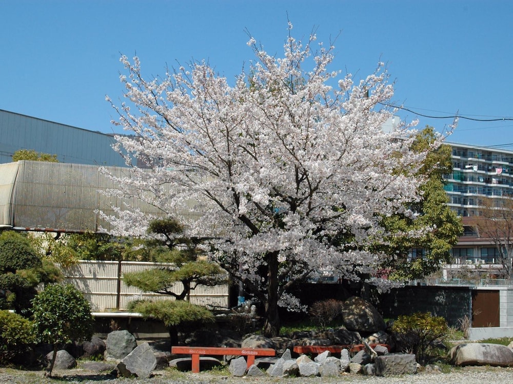 HOTEL HATTA YAMANASHI 5/49