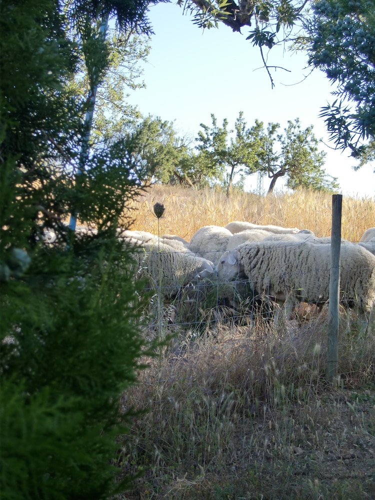 AGROTURISMO FINCA PEROLA 48/58