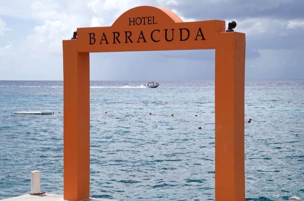 Barracuda 54/64