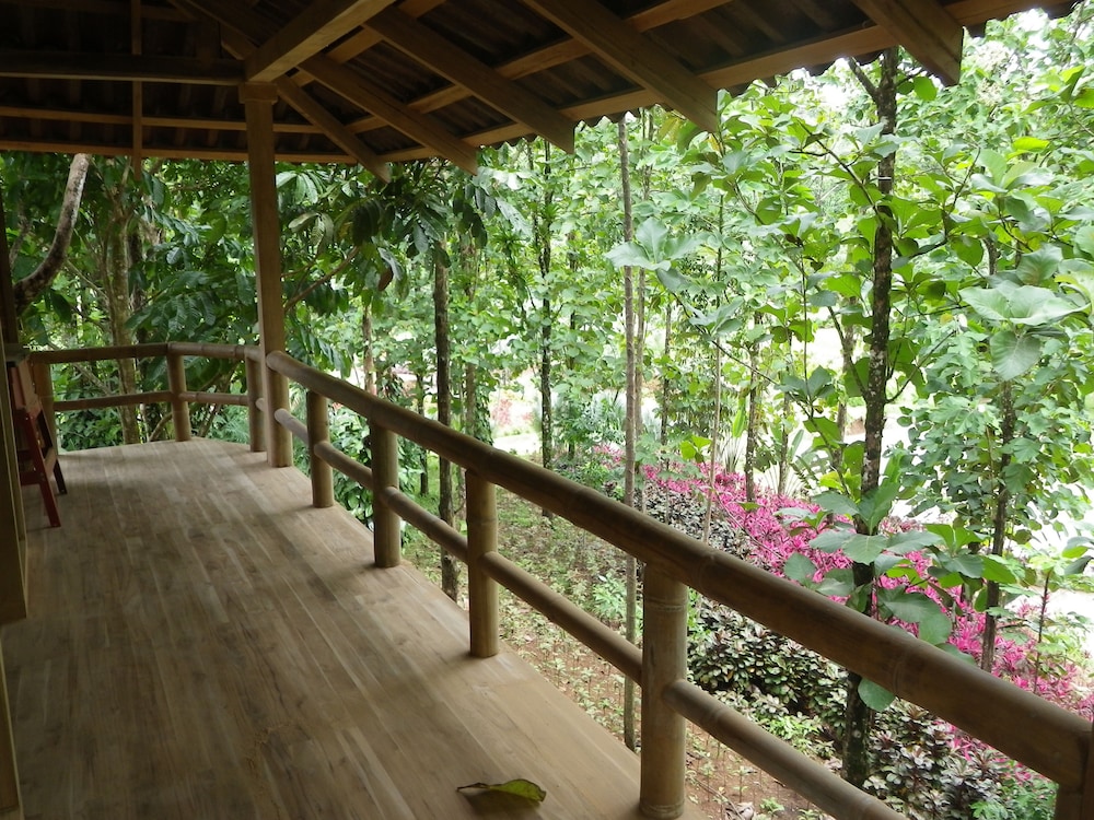 Macaw Lodge 49/64