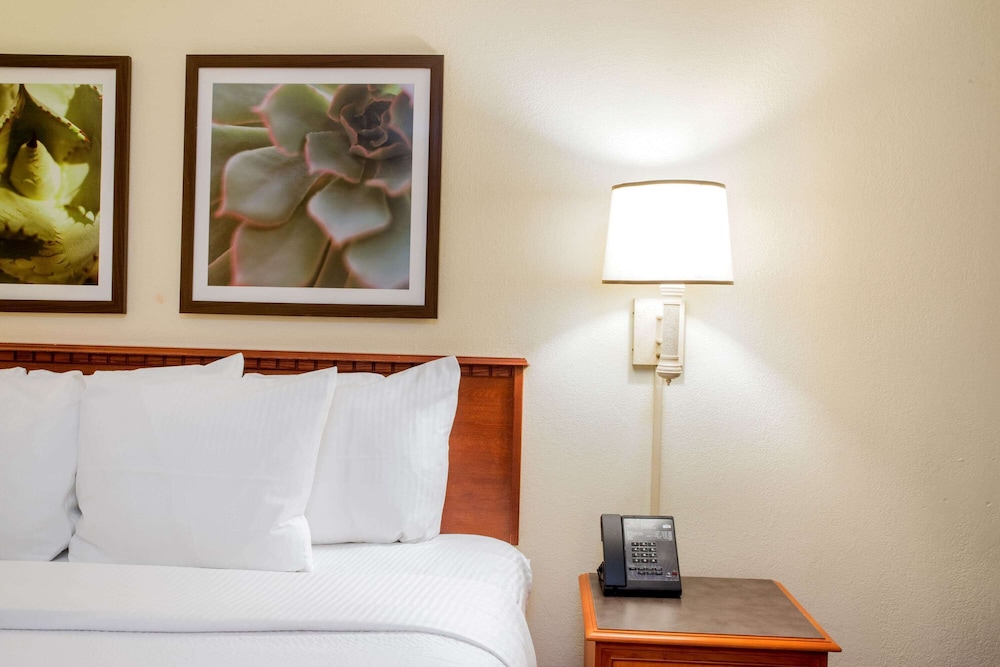La Quinta Inn & Suites by Wyndham Ft Lauderdale Cypress Cr 24/44