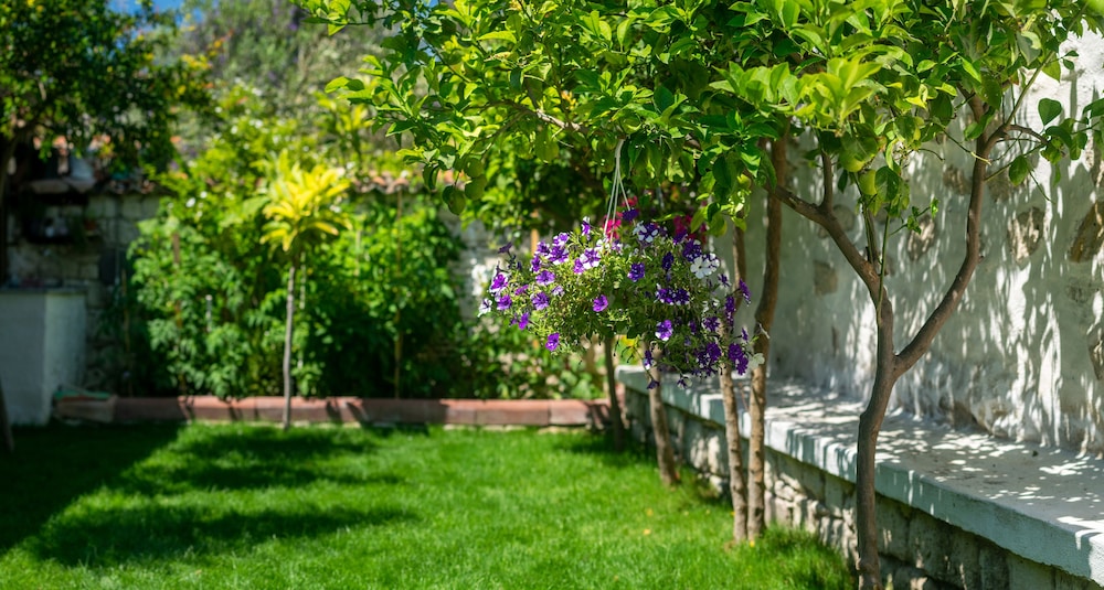 Avci Han Tas Ev Hotel - Adults Only 42/50