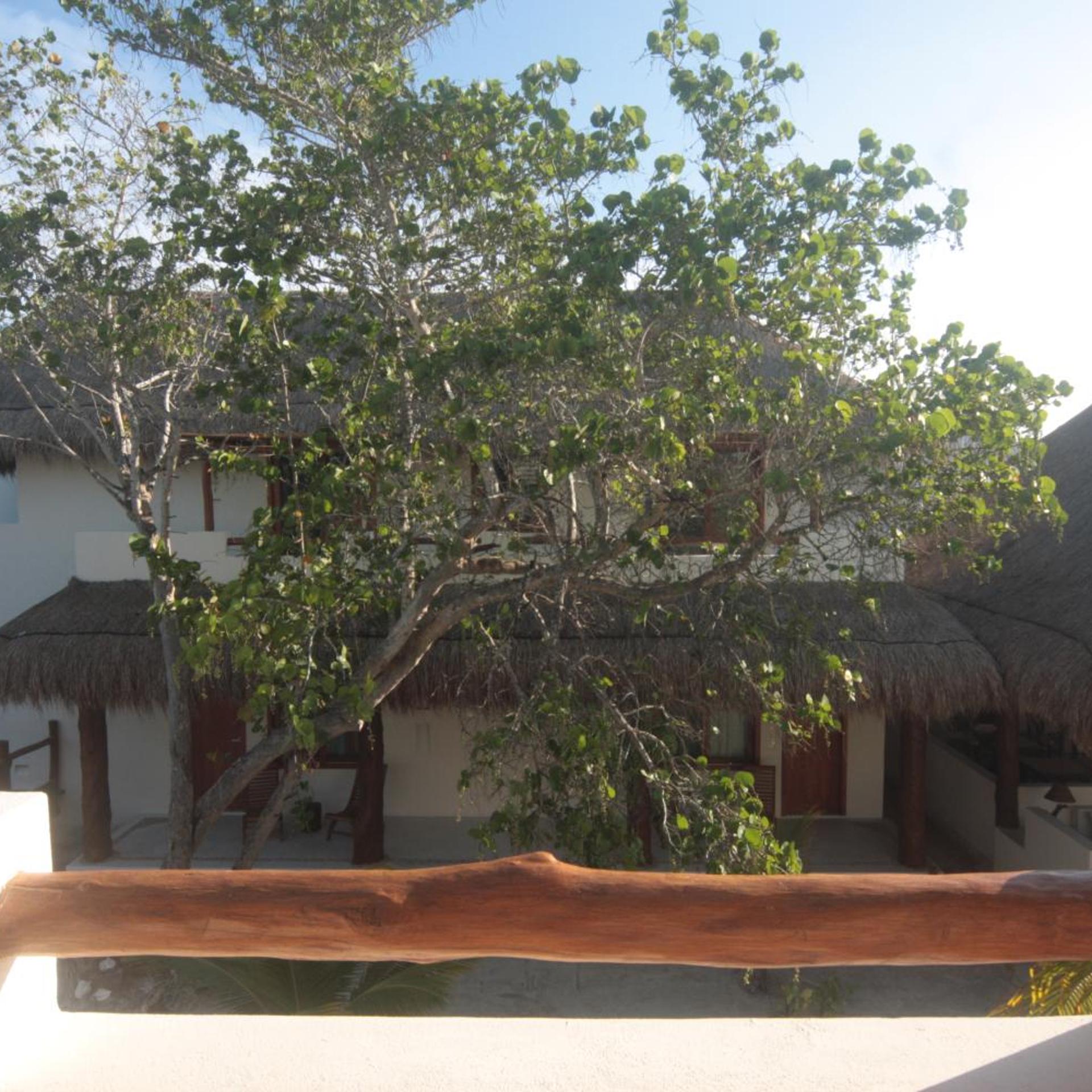 Tierra del Mar 50/56