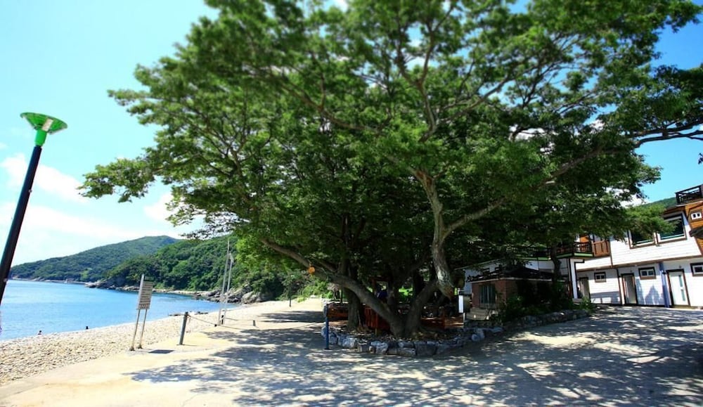 Pinky Marine Pension 34/50