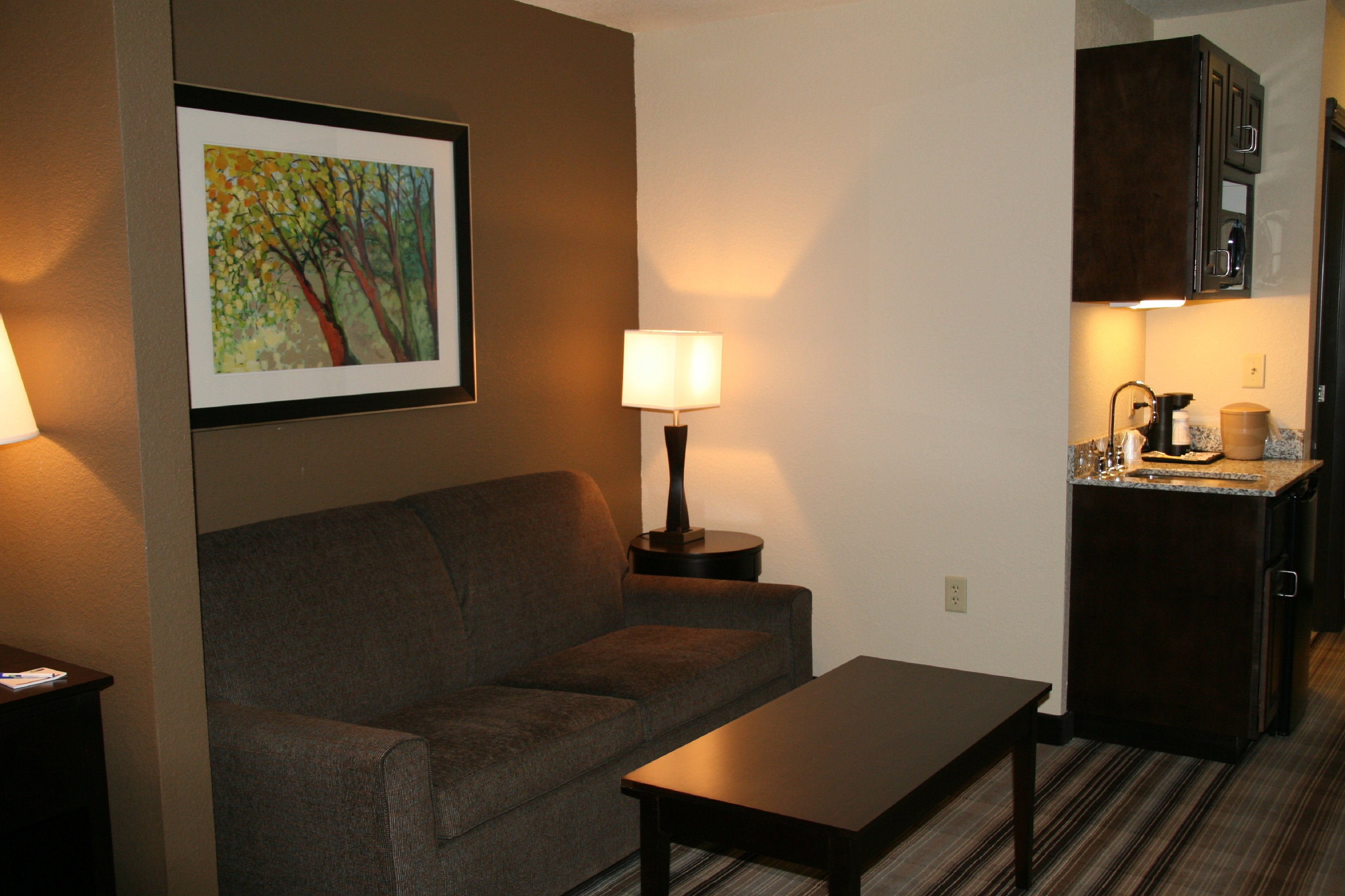 Holiday Inn Express Suites Nevada 49/66