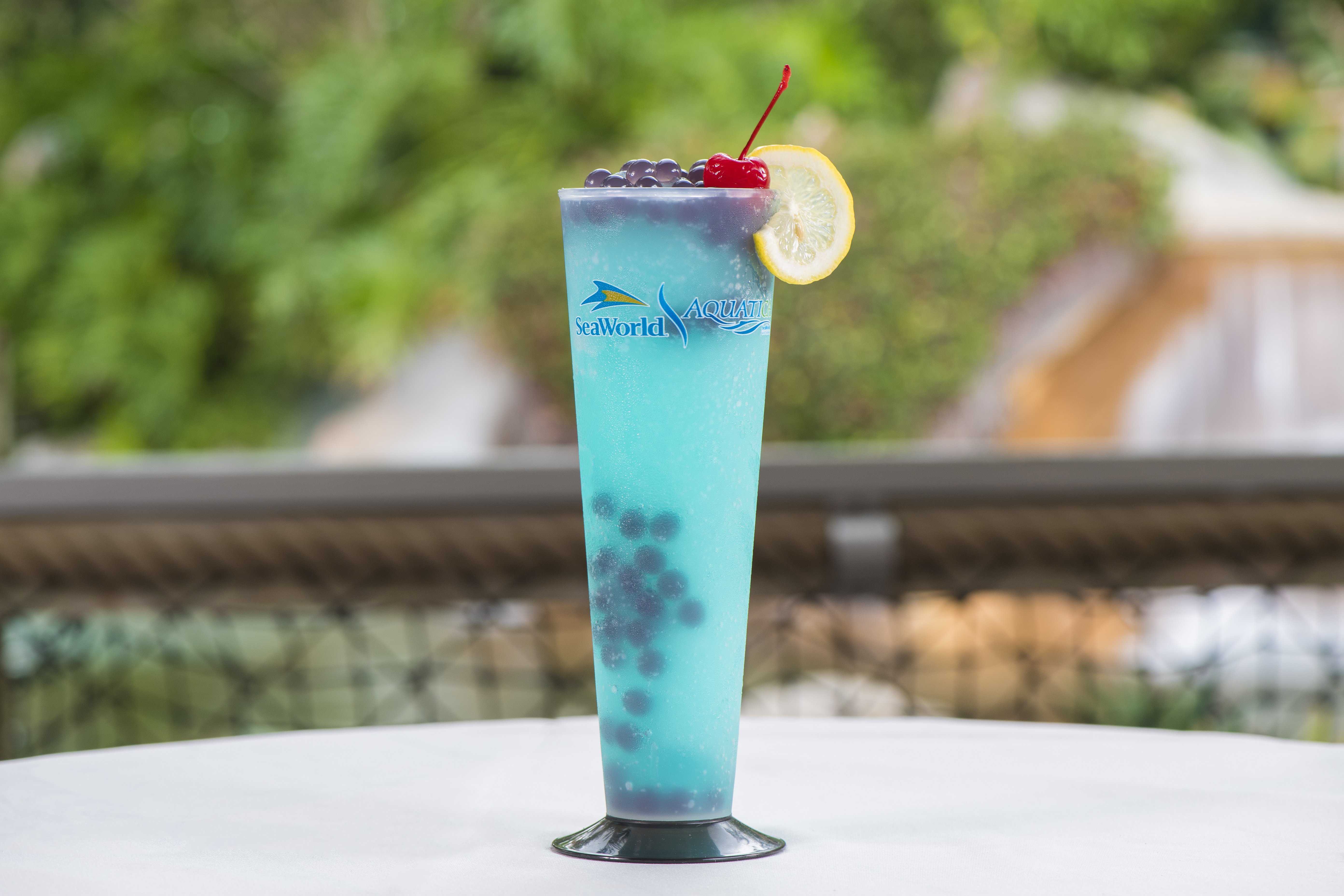 Staybridge Suites Orlando At Seaworld 14/50