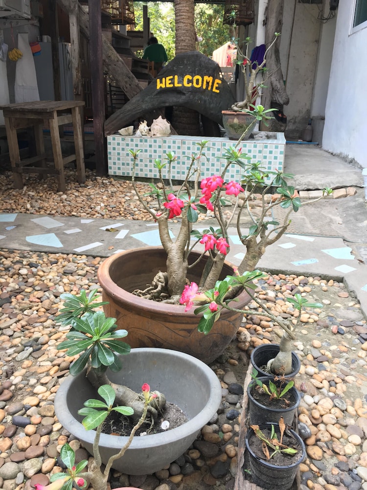 Miss Hong House 32/50