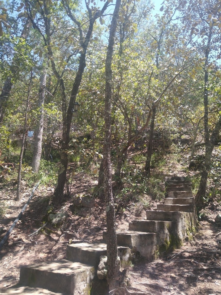 Hotel Mision Barrancas Del Cobre 46/50