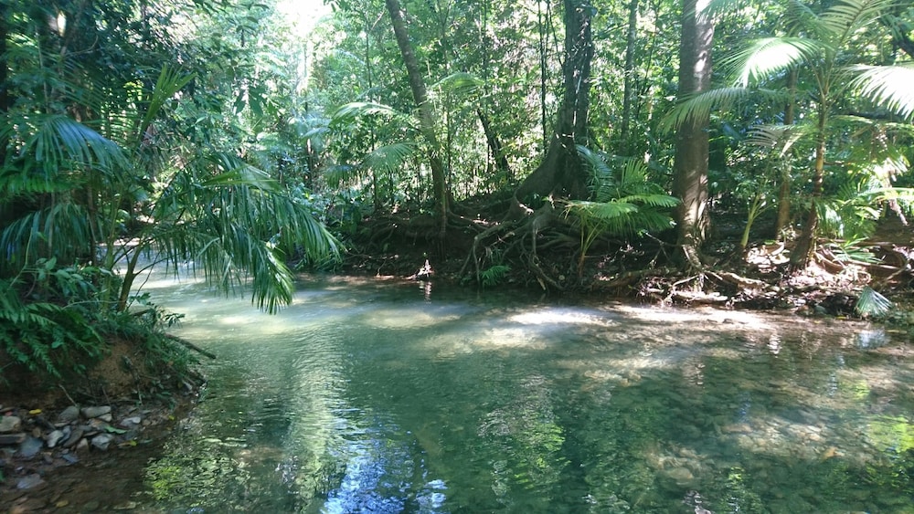 Daintree Peaks Eco Stays 37/45