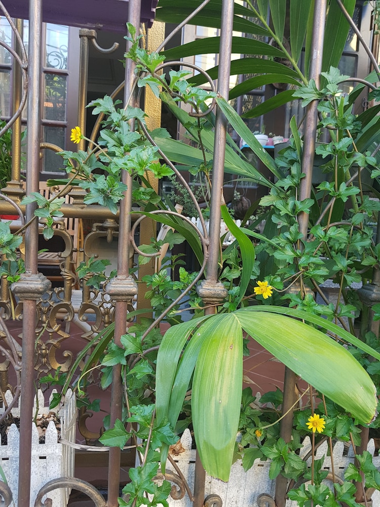 Little Home Hostel Nha Trang 38/41