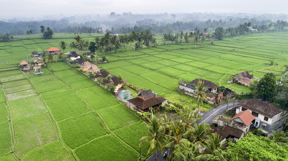 Kabinawa Ubud Villas and Cafe 18/50