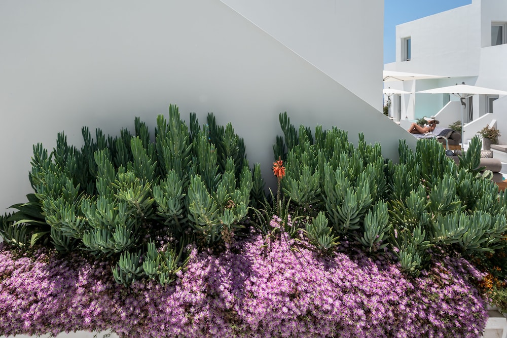 Akra Suites & Spa 46/50