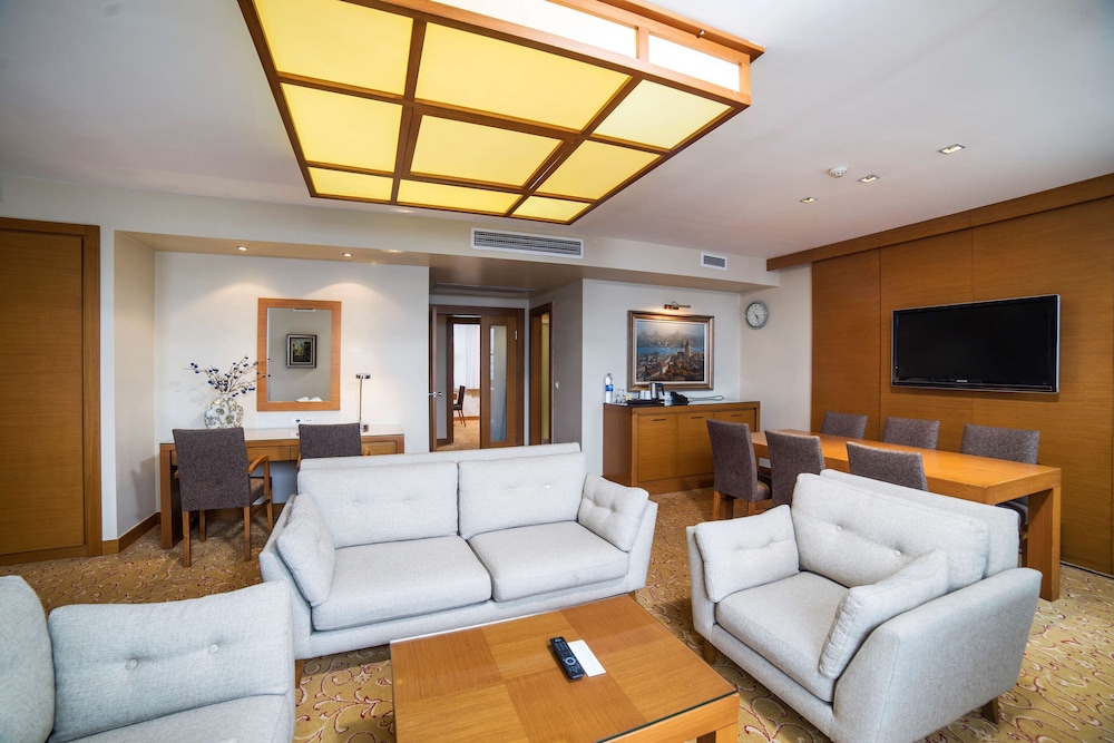 Radisson Hotel Istanbul Sultanahmet 31/50