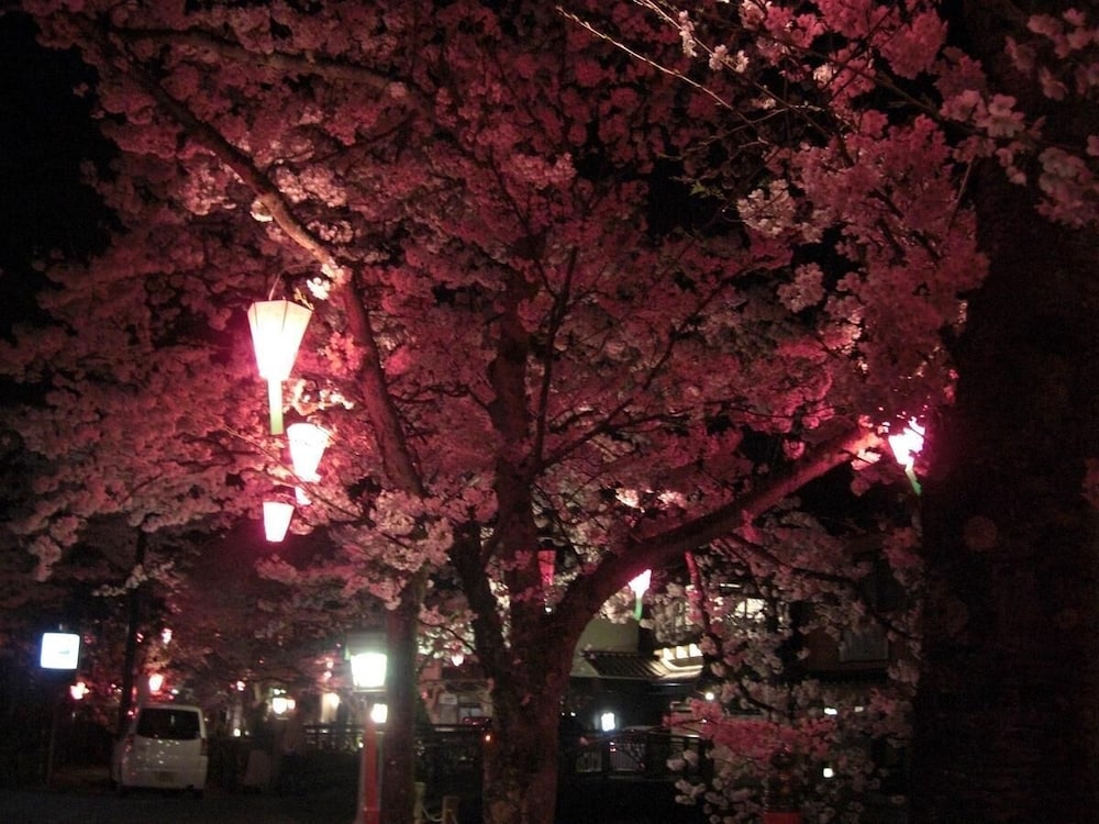 Matsuya 19/34