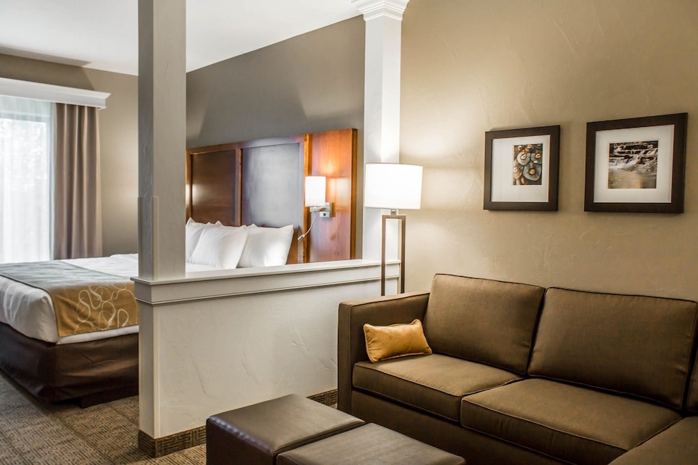 Comfort Suites Hartville-North Canton 29/43