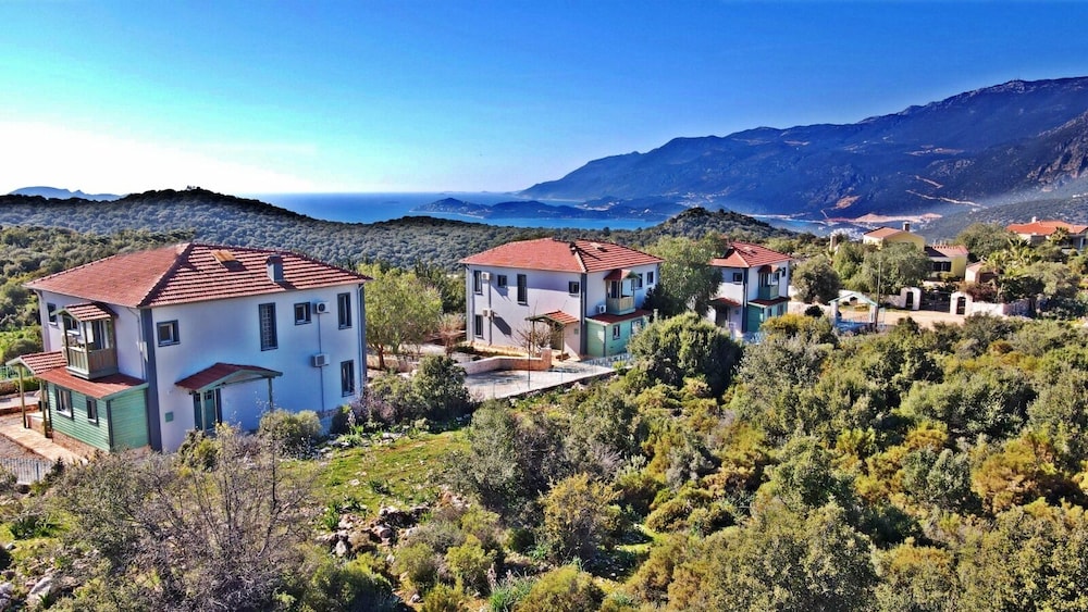 Lacitrus Villa Hotel 36/41