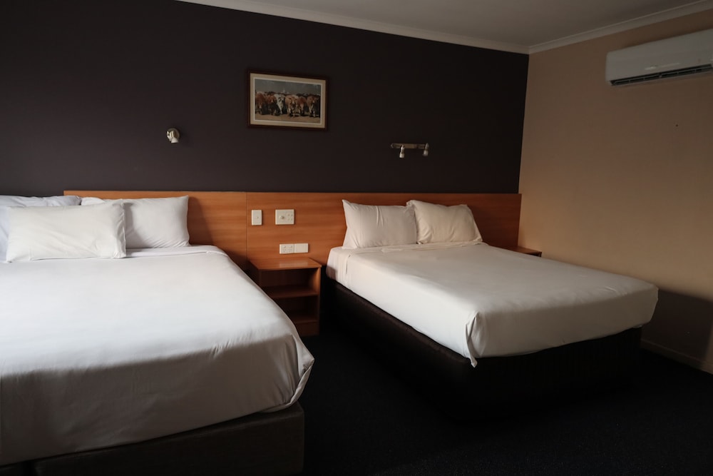 SUN PALMS MOTEL 19/67
