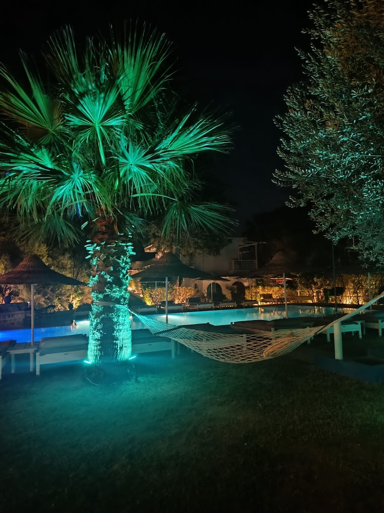 PINE TREES ART HOTEL 49/50