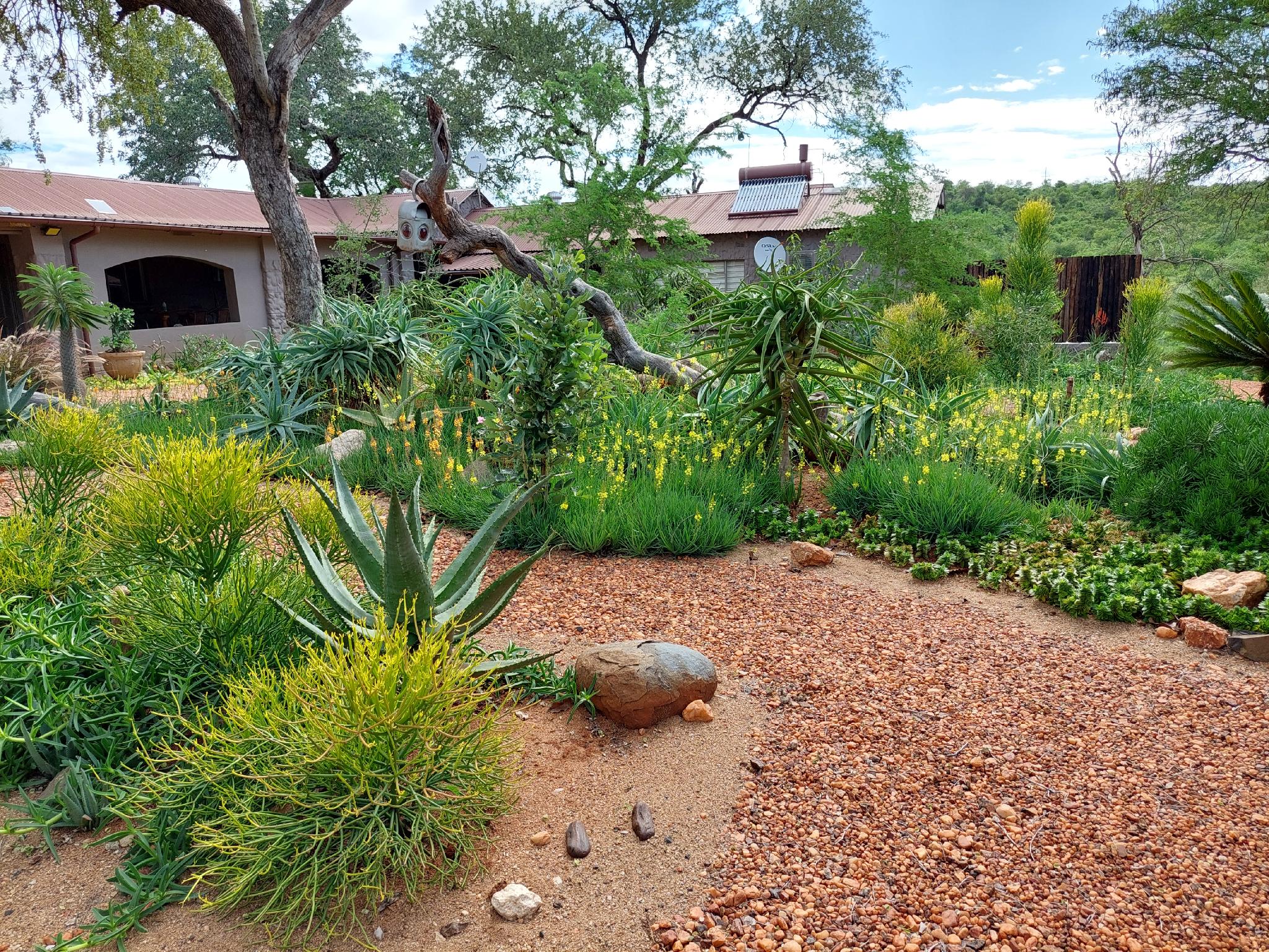 Phomola Manor 9/19