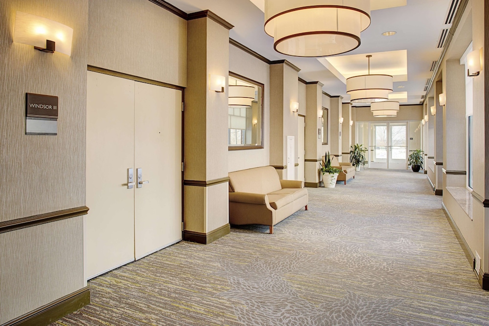Hilton Garden Inn Hartford North/Bradley Intl Airport 7/50