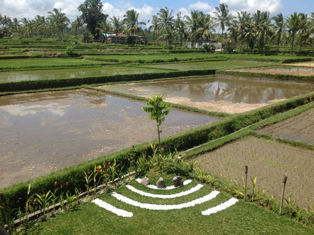 Manyi Village 56/64