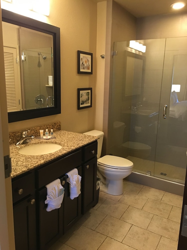 Comfort Inn Bentonville - Crystal Bridges 13/47