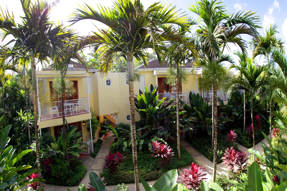 Negril Palms 53/55