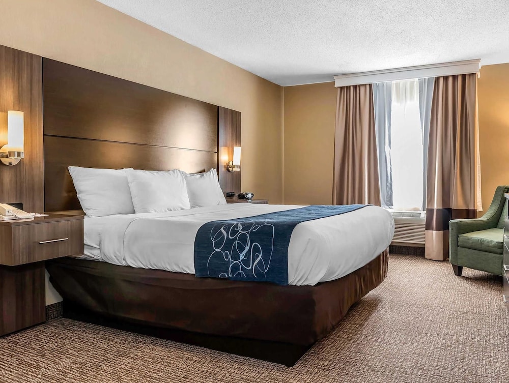 Suite, King Bed, Sofa, Accessible