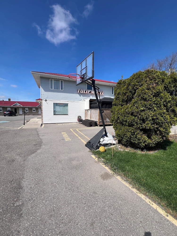 Tulip Motel 41/50
