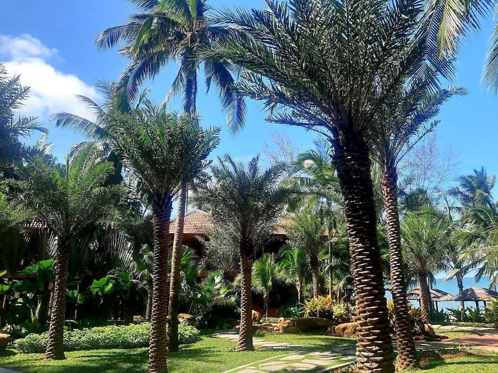 Coco Palm Beach Resort Spa 45/50