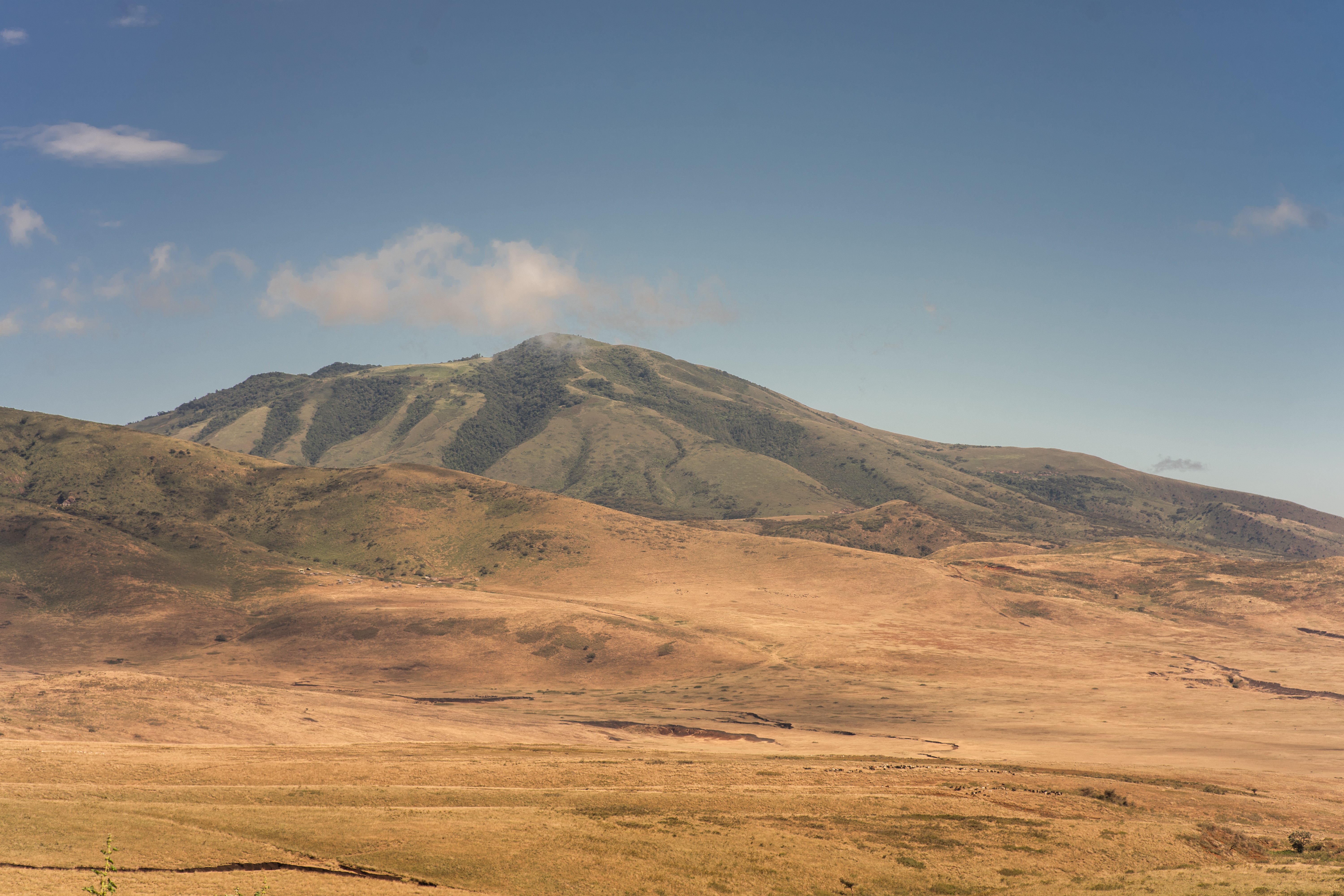 Ngorongoro Lodge member of Melia Collection 42/57