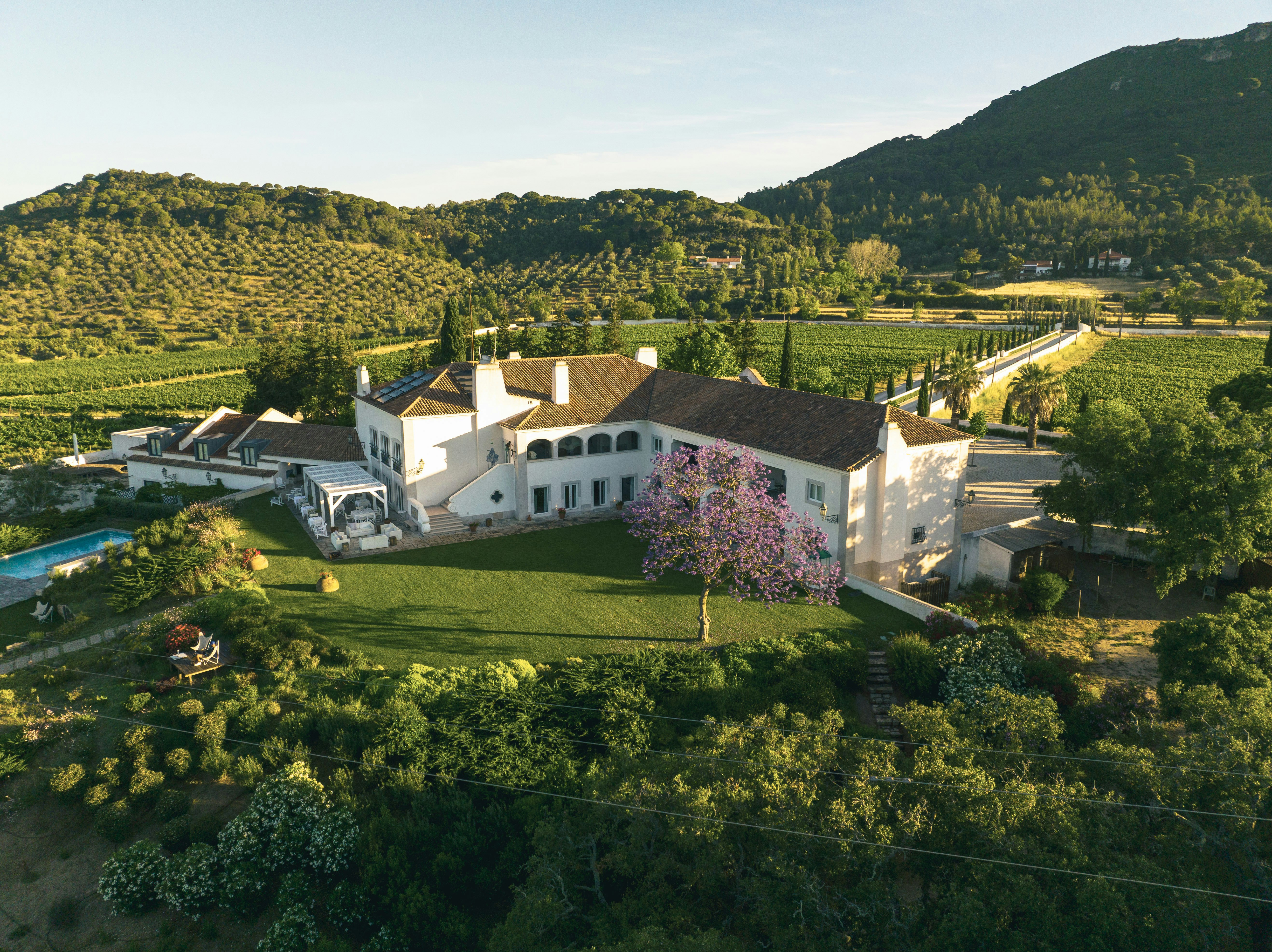 Casa Palmela 68/81