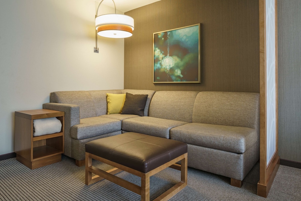 Hyatt Place Houston Galleria 44/61