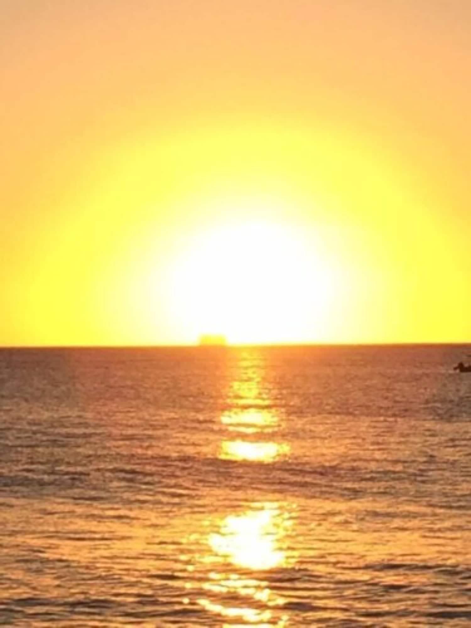 Sunset Oasis 8/14