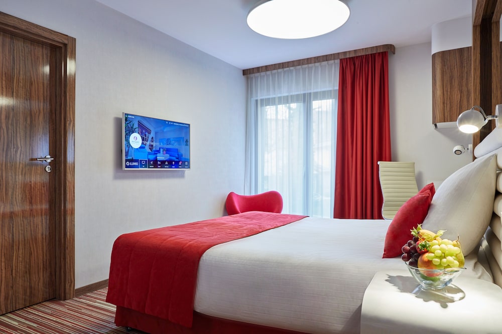 Leonardo Boutique Hotel Krakow City Center (ex Metropolis Design) 9/68
