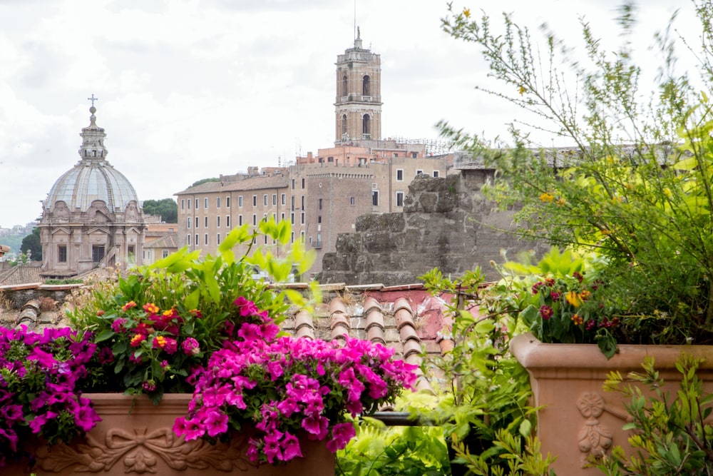 The Inn At The Roman Forum 8/126