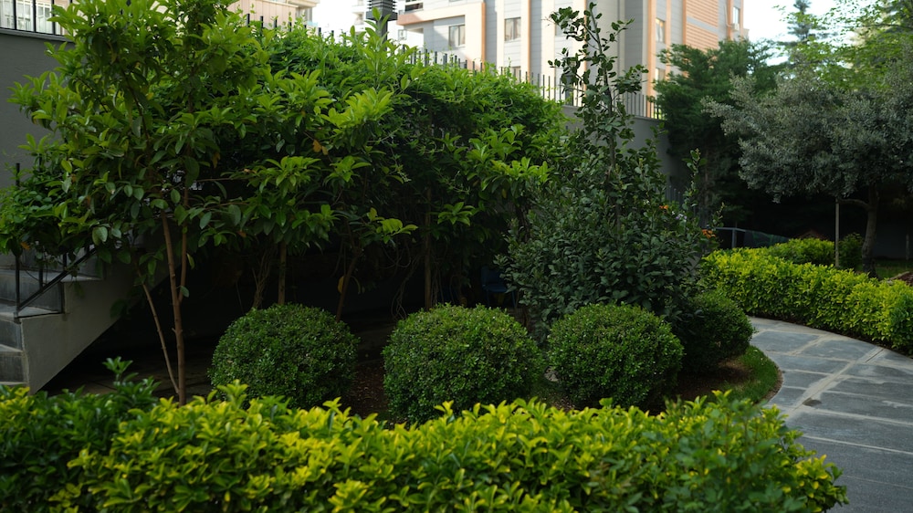 Your House Konaklama 47/50