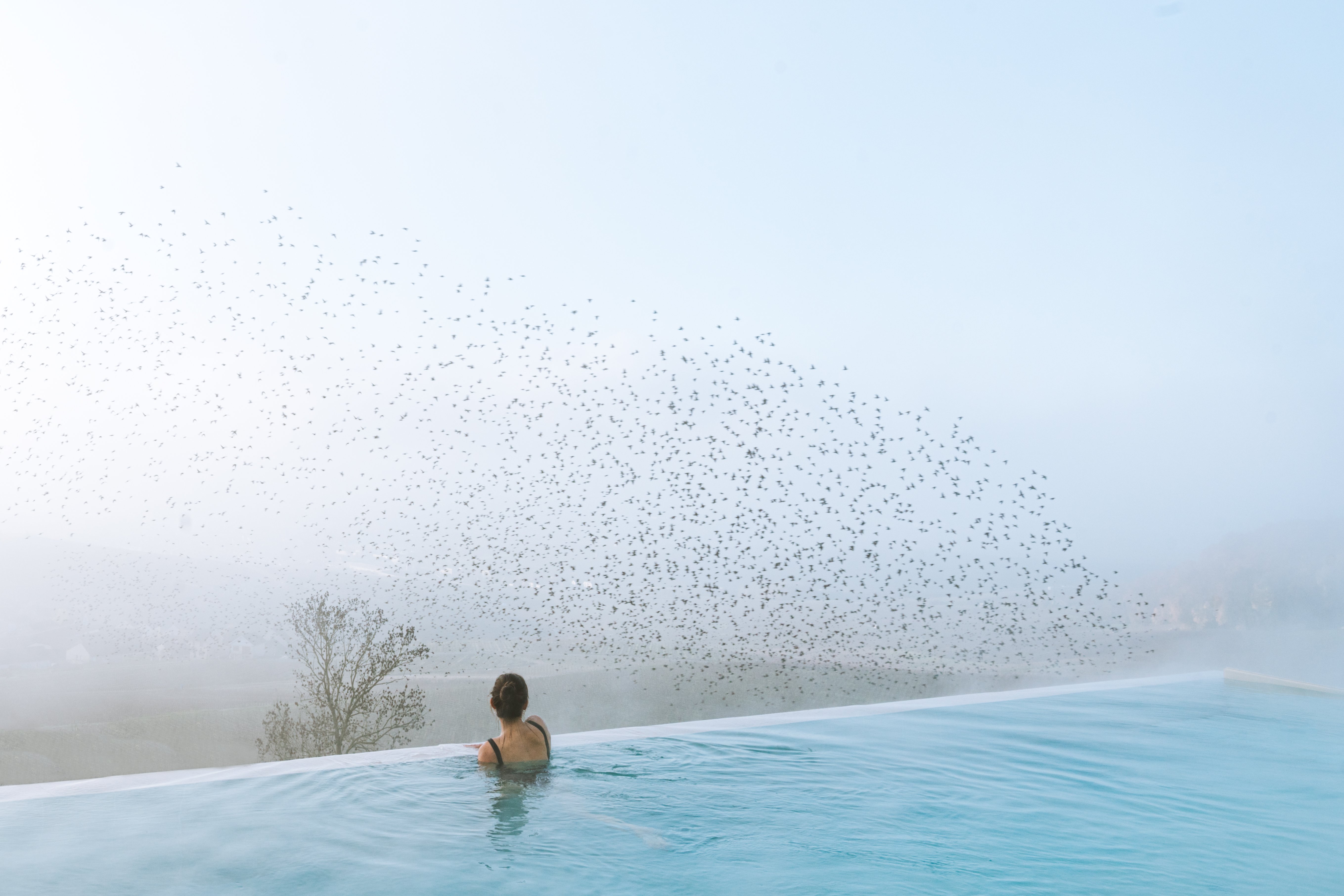 Royal Champagne Hotel and Spa 32/38