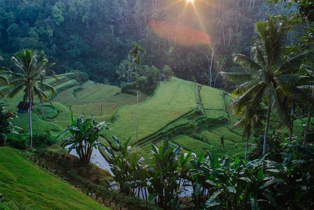 Suarapura Resort and SPA 43/50