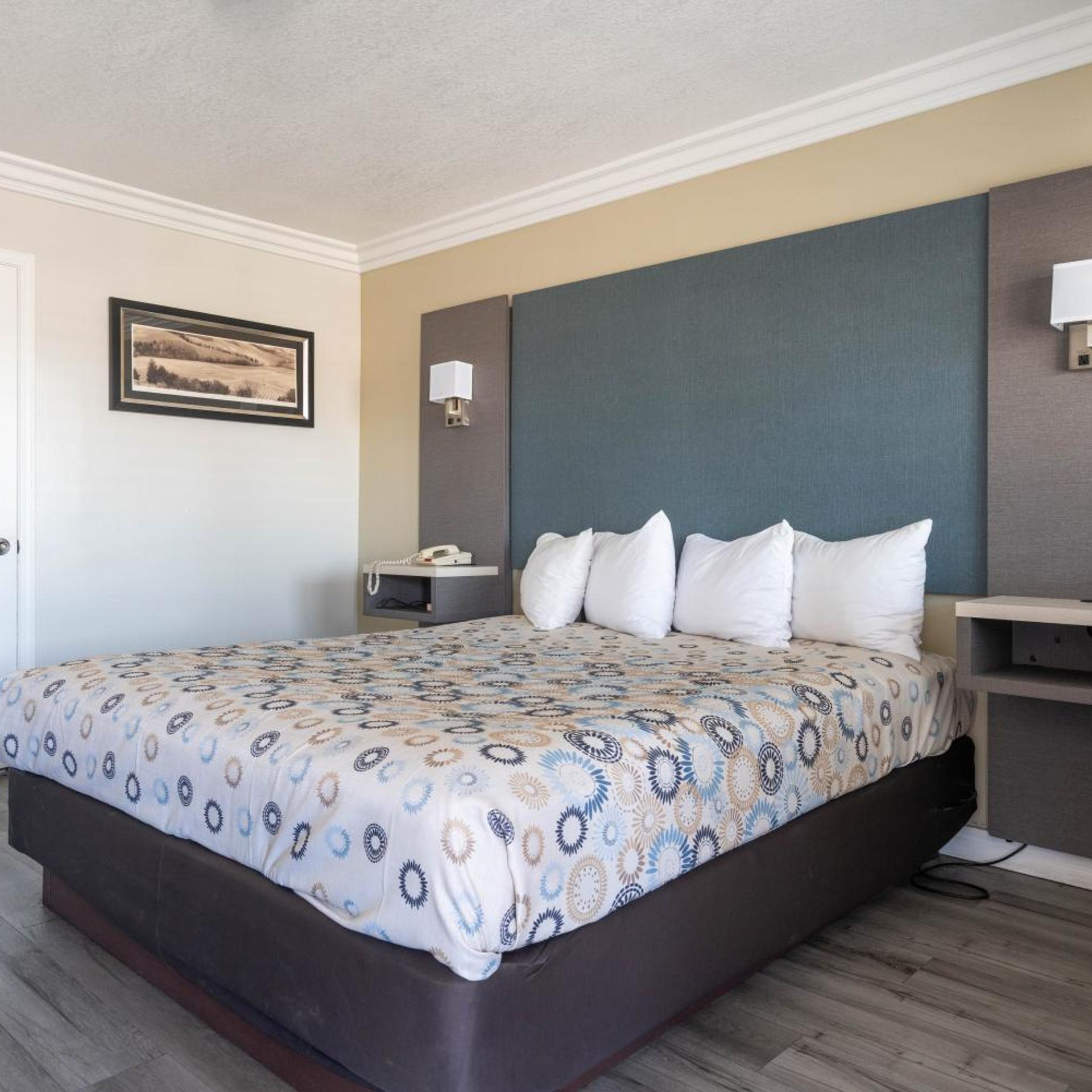 Room, King Bed, Accessible