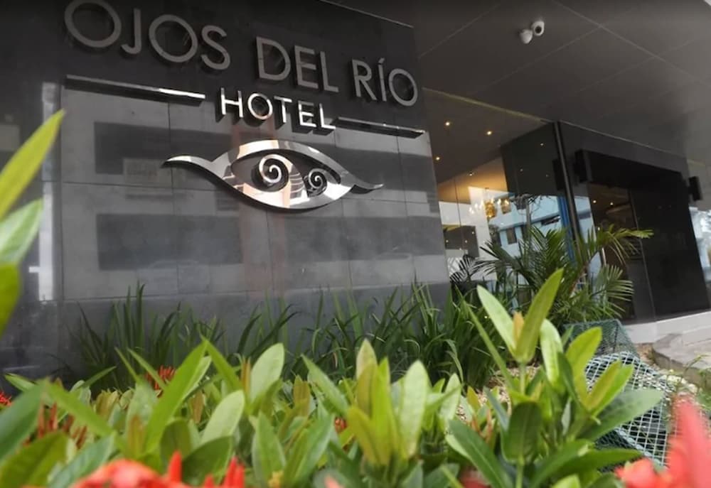 HOTEL OJOS DEL RIO photo1
