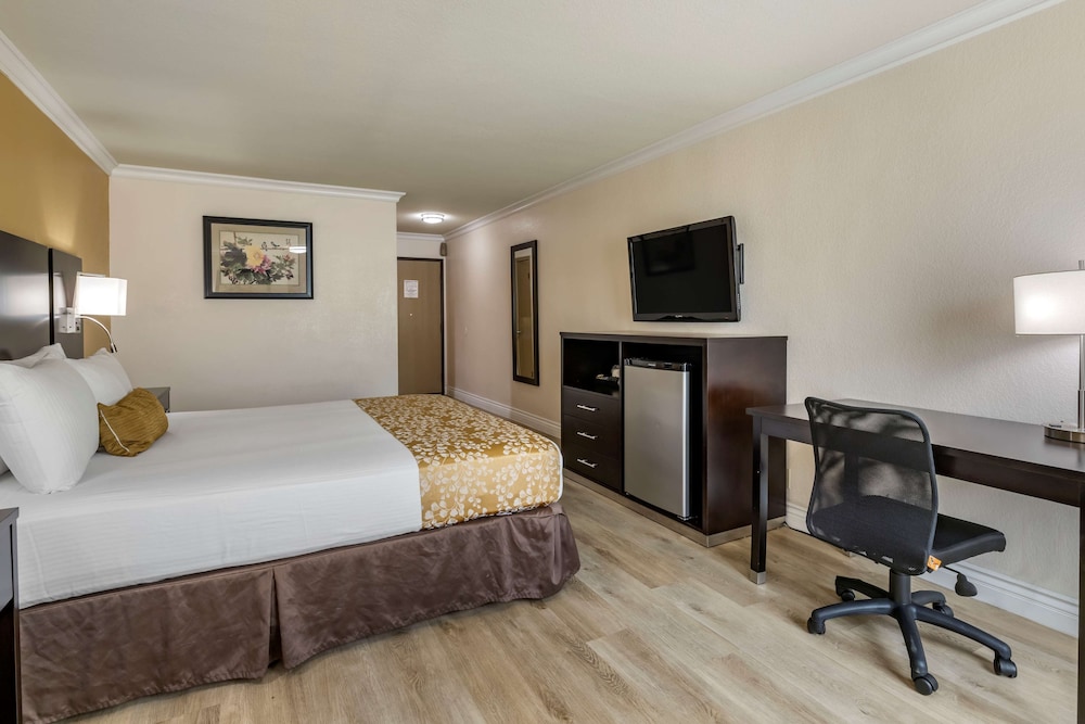 Best Western Plus South Bay Hotel 17/36