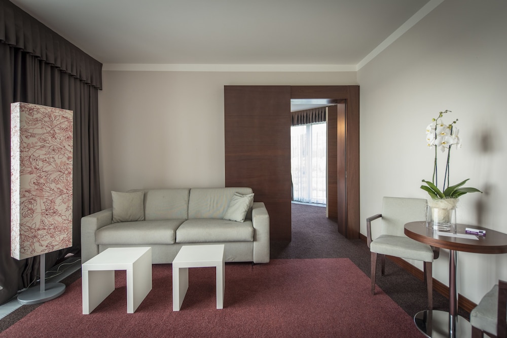Aqualux Hotel Spa Suite & Terme 43/60