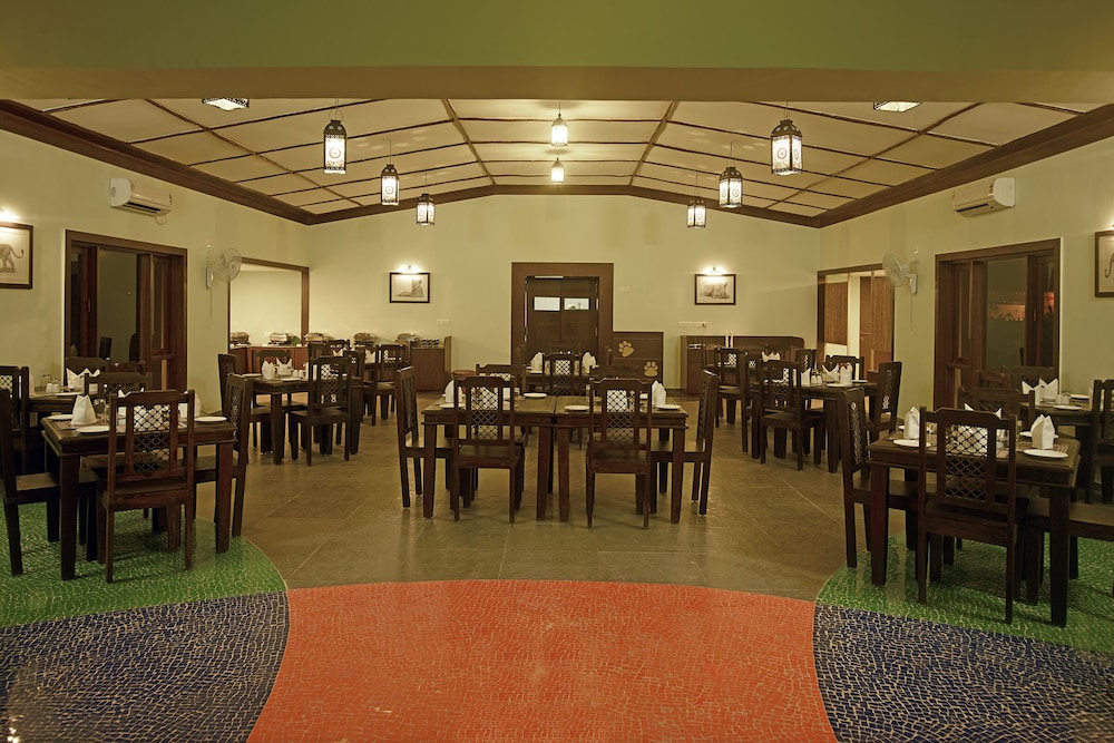 Asiatic Lion Lodge 23/50