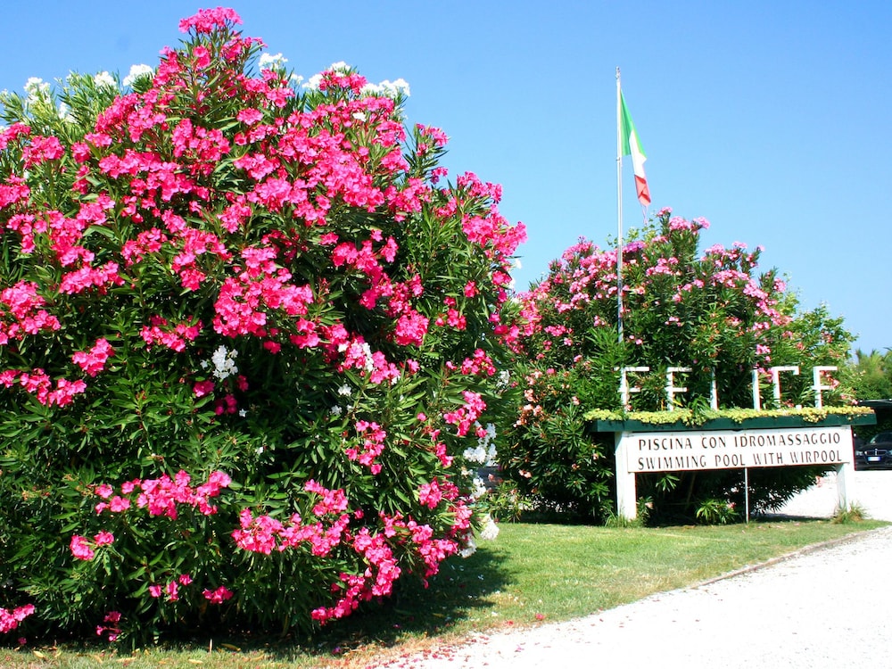 La Pigna 39/45