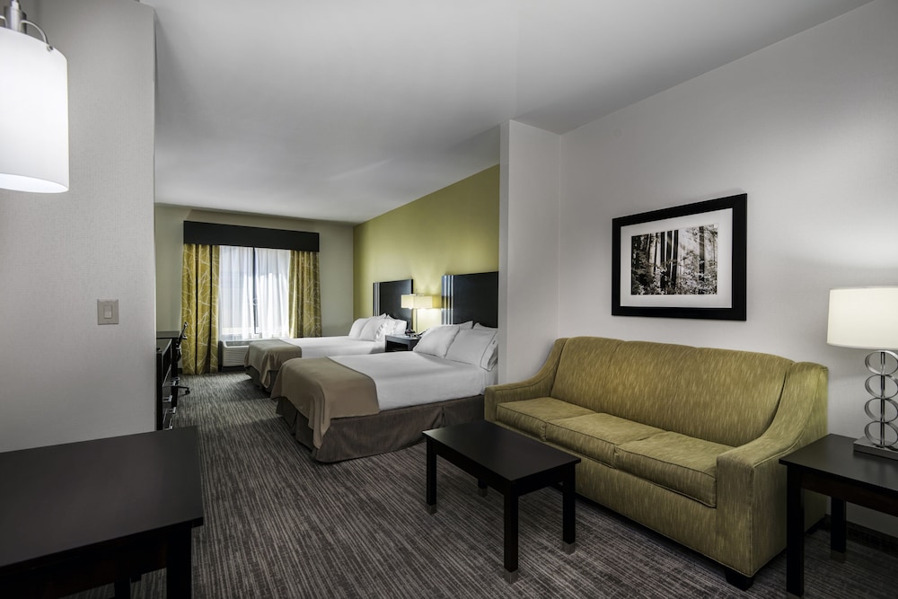 Holiday Inn Express Hotel Suites Conway 15/54