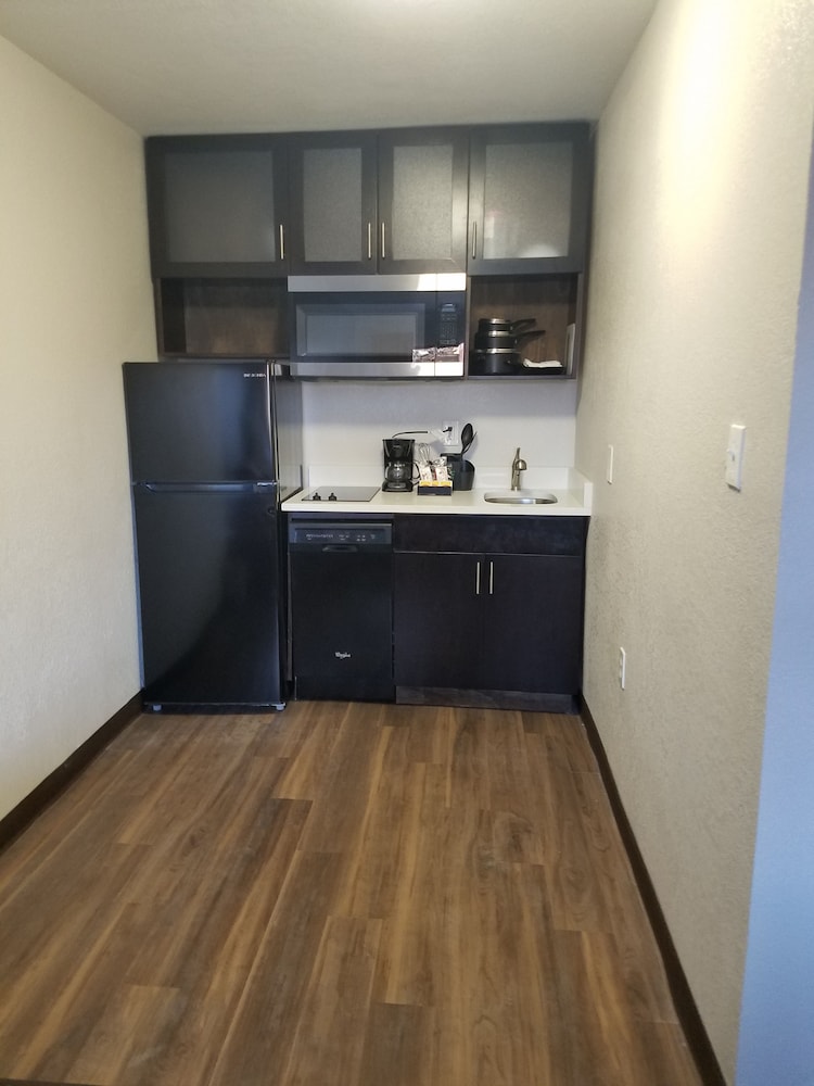 Hotel South Tampa and Suites 11/35