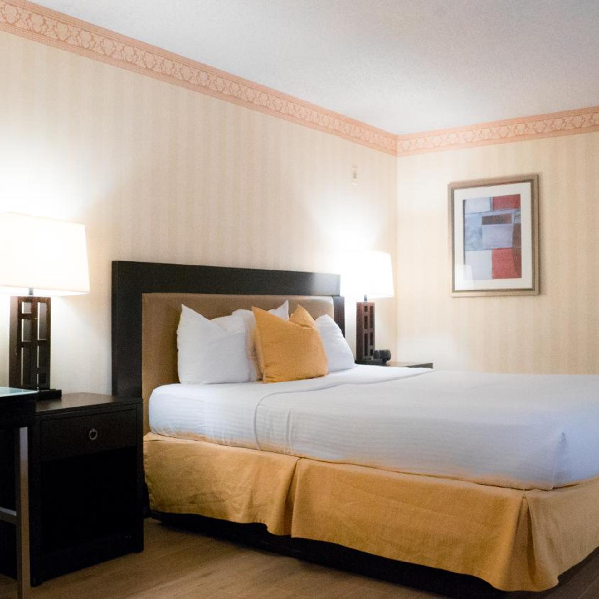 1 King Bed - Non-Smoking, Micfridge