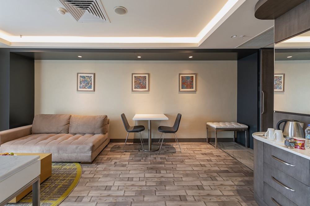 HOLIDAY INN KAYSERI - DUVENONU 39/62